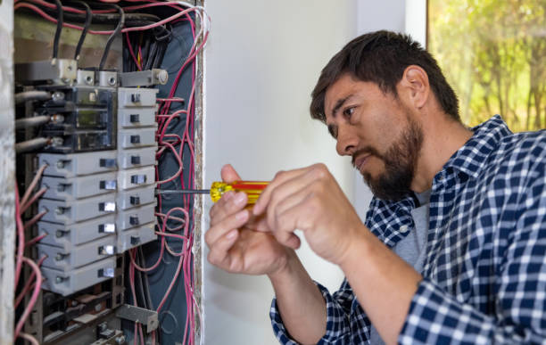 Best Generator Installation Services  in Black Forest, CO